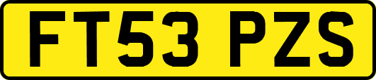 FT53PZS