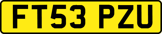FT53PZU