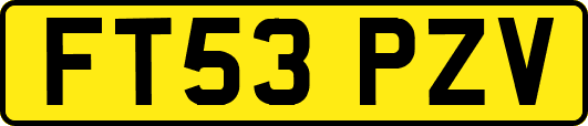 FT53PZV