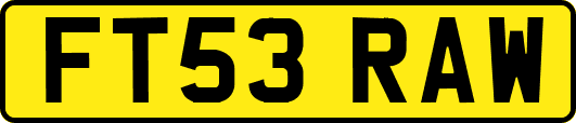 FT53RAW