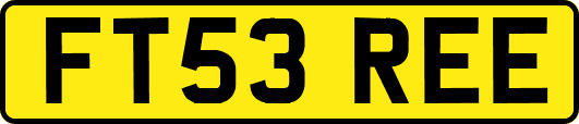 FT53REE