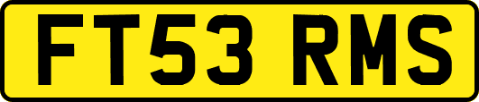 FT53RMS