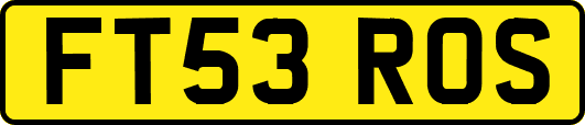 FT53ROS