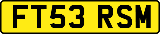 FT53RSM