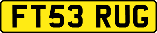 FT53RUG
