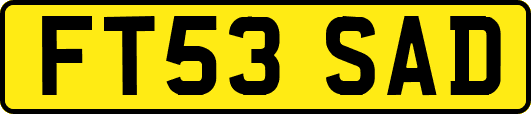FT53SAD