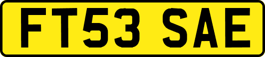 FT53SAE