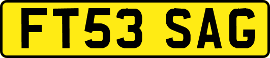 FT53SAG