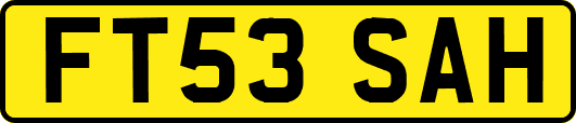 FT53SAH