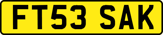 FT53SAK