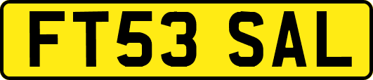 FT53SAL