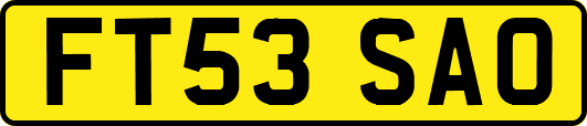 FT53SAO