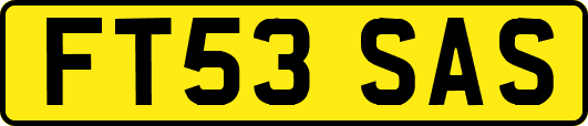 FT53SAS
