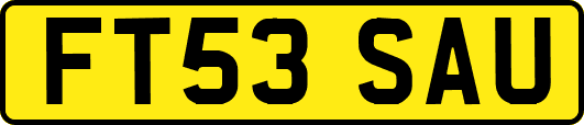 FT53SAU