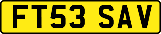 FT53SAV