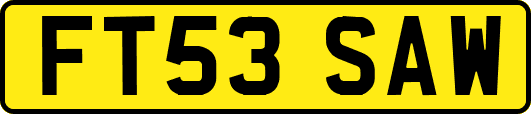 FT53SAW