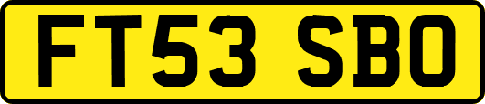 FT53SBO