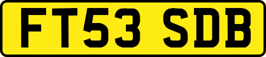 FT53SDB