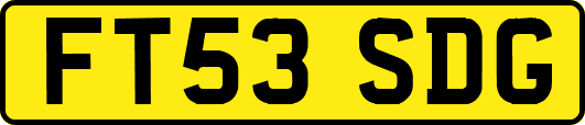 FT53SDG