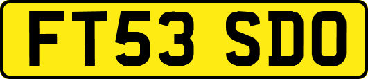 FT53SDO