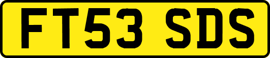 FT53SDS