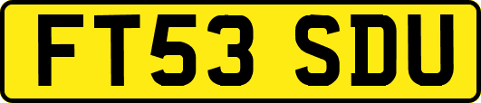 FT53SDU