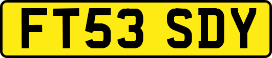FT53SDY