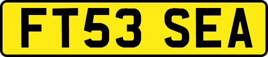 FT53SEA