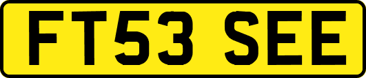FT53SEE