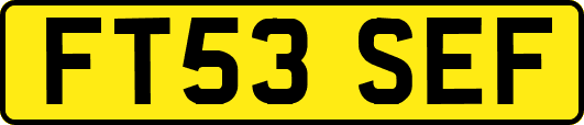 FT53SEF