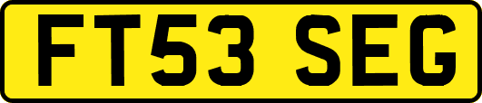 FT53SEG