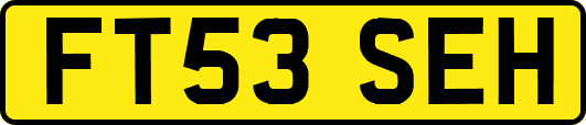 FT53SEH