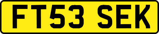 FT53SEK