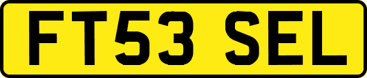 FT53SEL