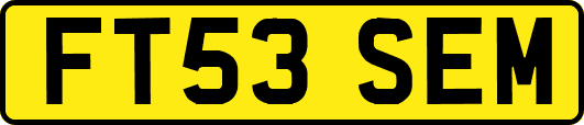 FT53SEM