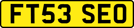 FT53SEO