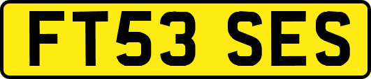 FT53SES