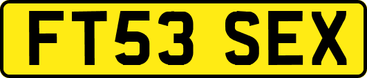 FT53SEX