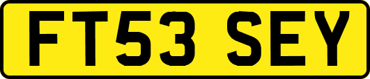 FT53SEY