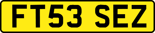 FT53SEZ