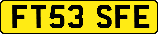 FT53SFE