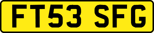 FT53SFG