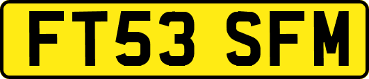 FT53SFM