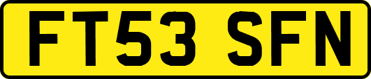 FT53SFN