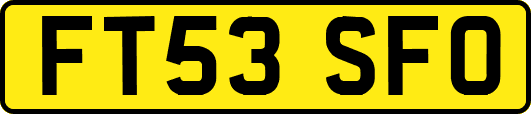 FT53SFO