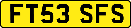 FT53SFS
