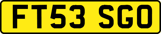 FT53SGO