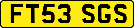 FT53SGS