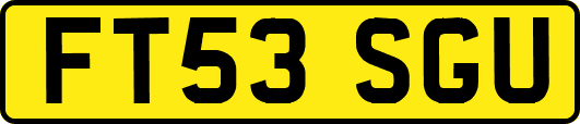FT53SGU