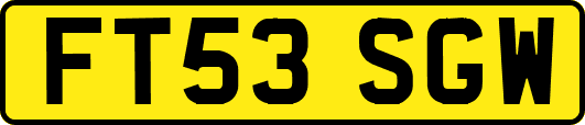 FT53SGW